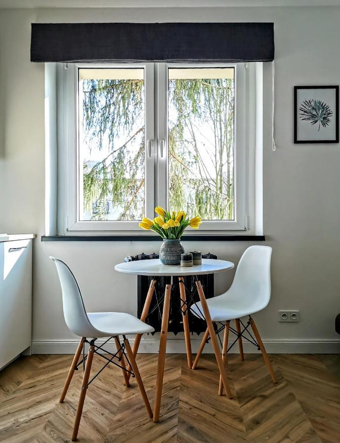 Przytulny Apartament Przy Sokolskiej - 550 Metrow Od Spodka Katovice Exteriér fotografie